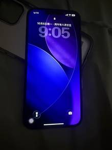 Iphone 13 pro max （Blue）