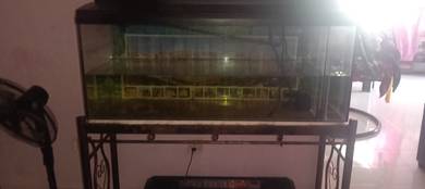 aquarium 5feet murah 🔥