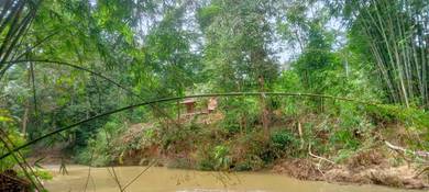 Agricultural Land in Batang Kali, SGR