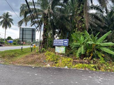 Agricultural Land in Teluk Intan, PRK