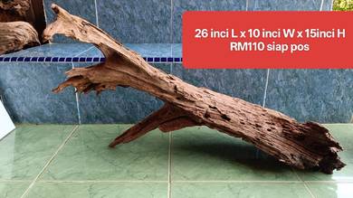 aquarium driftwood besar bercabang