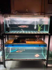 Akuarium