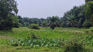 Agricultural Land in Padang Serai, KDH