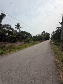 Agricultural Land in Pontian, JHR