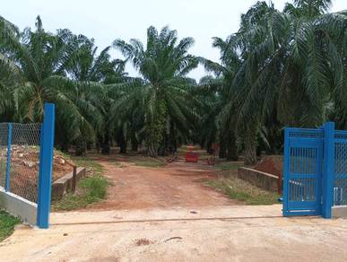 Agricultural Land in Sungai Petani, KDH