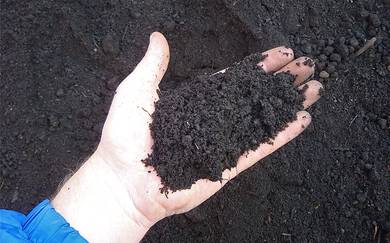 POME / Black Soil / Tanah Hitam