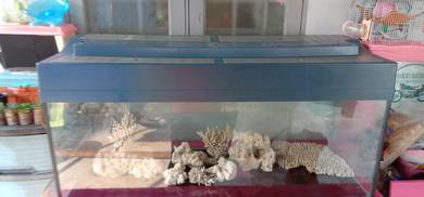 Aquarium 4ft×18×18  jual seperti dalam gambar siap