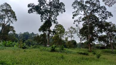 Agricultural Land in Kuala Lipis, PHG