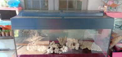 Aquarium 4ft×18×18