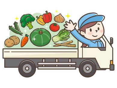 Driver Merchandiser