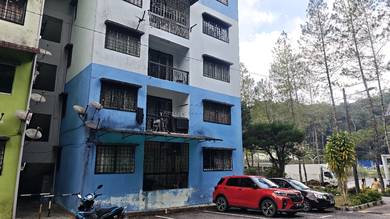 Apartment For Sale in Carnation Park