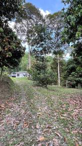 Agricultural Land in Hulu Langat, SGR