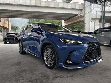2023 Lexus NX 250 LUXURY
