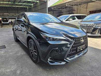 Lexus NX 250 LUXURY in City Centre, KUL
