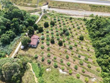 Agricultural Land in Raub, PHG