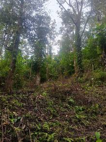 Others Land in Pendang, KDH