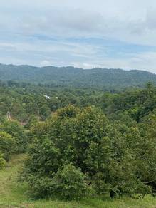 Agricultural Land in Lundu, SWK