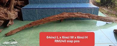 Driftwood - kayu untuk aquarium 6kaki