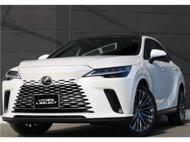 Lexus RX 350 LUXURY in Klang, SGR