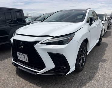 2022 Lexus NX 350 F SPORT