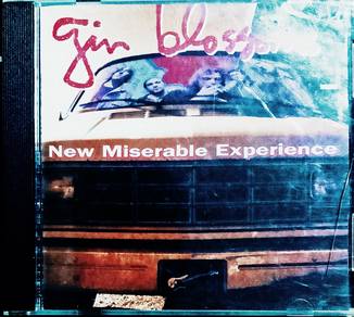 Gin Blossoms New Miserable Experience CD Album

