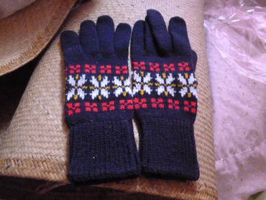 (二手 2nd hand) 冷手套 winter gloves