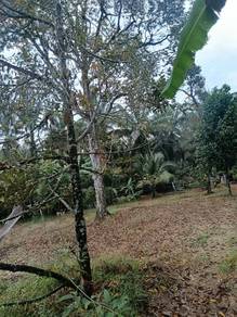 Agricultural Land in Parit, PRK