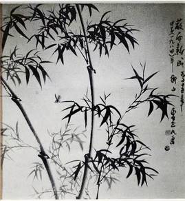 Bamboo Rhythm