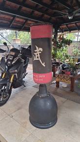 karate teakwondo kick boxer