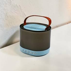 Portable Bluetooth Speaker + Free Wireless Mics