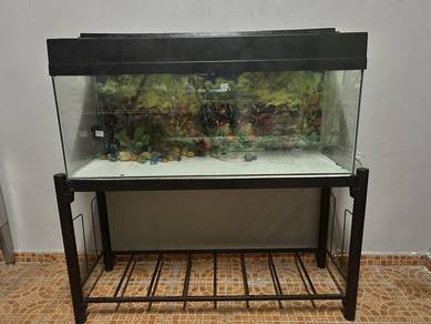 4 feet Aquarium 4 kaki akuarium