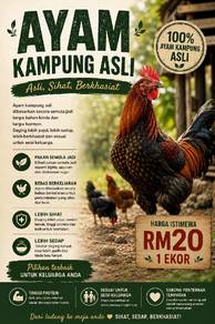 Ayam Kampung Asli