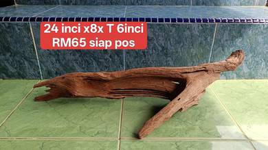 simple driftwood body licin tank aro sesuai