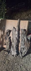 driftwood 3pcs 