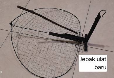 Jebak ulat baru