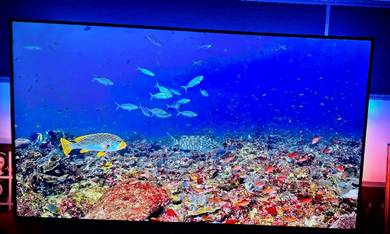 Philips 50-inch 4K UHD Google TV with ambilight.