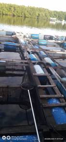 Sangkar Ikan Untuk Dijual