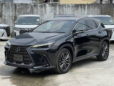 2023 Lexus NX 250 LUXURY