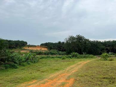 Agricultural Land in Senai, JHR