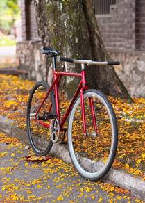 vendetta (custom) fixed gear
