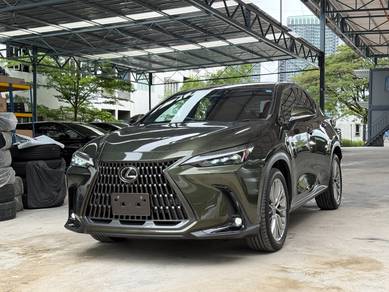 Lexus NX 250 LUXURY in Bandar Kinrara, SGR