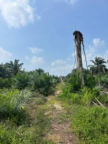 Agricultural Land in Pontian, JHR