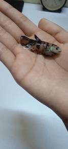 incubator 36egg