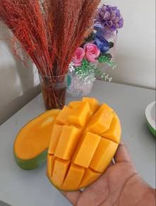 buah harumanis
