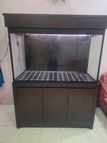 Fish Tank 