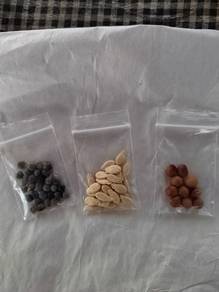 benih kundur, kacang botol & bendi