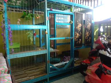 Sangkar kucing ( used )