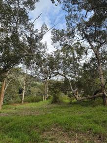 Mixed Development Land in Teluk Bahang, PNG