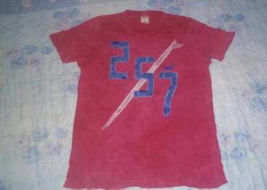 T Shirt Hollister (M)