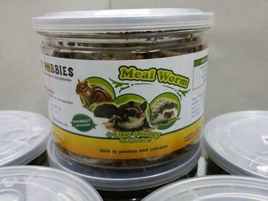 Dried Mealworms